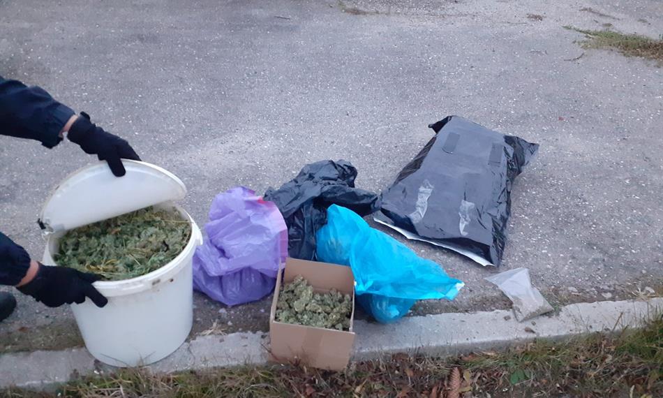 Záchyt konopí a kokainu